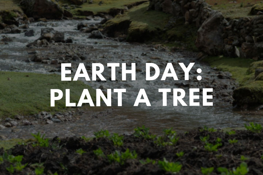 Earth Day: Plant a Tree