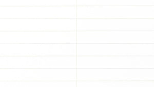 Field Notes Steno - Single Steno Pad - view 2