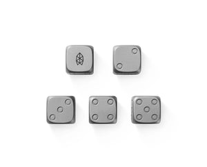 The TJB Titanium Dice Set