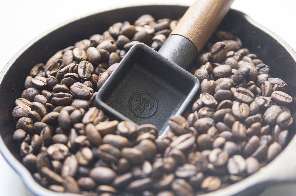Sqoop Coffee Measuring Spoon